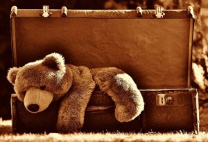 Teddy bear in a luggage